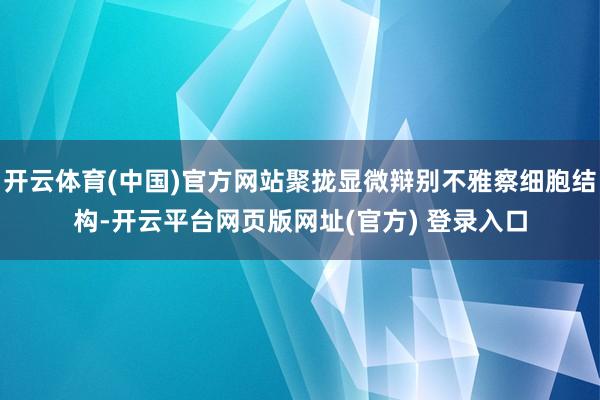 开云体育(中国)官方网站聚拢显微辩别不雅察细胞结构-开云平台网页版网址(官方) 登录入口