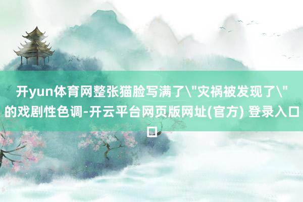 开yun体育网整张猫脸写满了