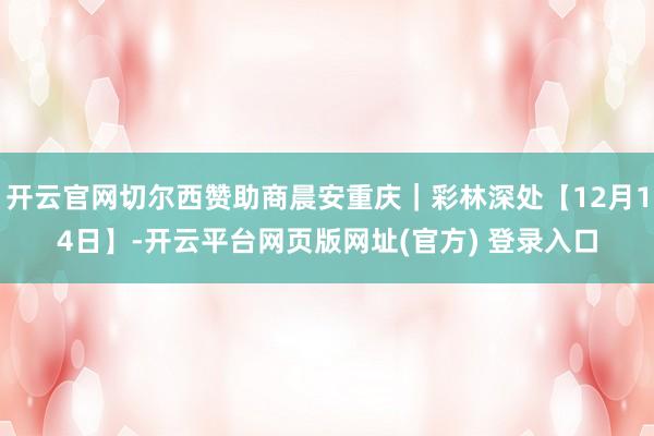 开云官网切尔西赞助商晨安重庆｜彩林深处【12月14日】-开云平台网页版网址(官方) 登录入口