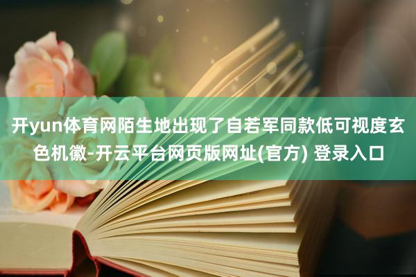 开yun体育网陌生地出现了自若军同款低可视度玄色机徽-开云平台网页版网址(官方) 登录入口